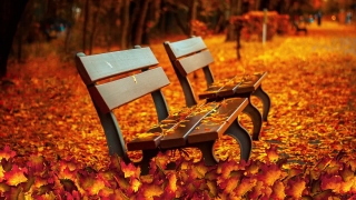 Free Worship Backgrounds For Easyworship, Park Bench, Bench, Seat, Furniture, Park