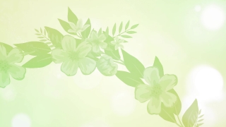 Stock Videos With Sound, Floral, Clover, Flower, Leaf, Spring