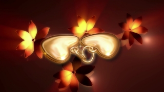 Video Background Footage, Light, Design, Fractal, Art, Color