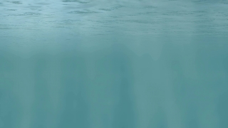 Free Animation Video, Ocean, Sea, Body Of Water, Water, Beach