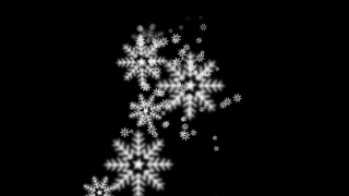 Free B Roll No Copyright, Fir, Snow, Winter, Ice, Snowflake