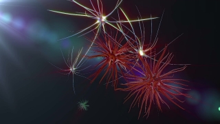 Free Background Para Videos, Firework, Explosive, Fireworks, Night, Celebration