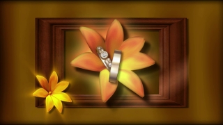 Free Easy Worship Moving Backgrounds, Flower, Petal, Spa, Yellow, Floral