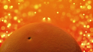 Free Footage Video Background, Citrus, Fruit, Edible Fruit, Mandarin, Orange