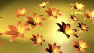 Free Hd Background Loops, Maple, Island, Floral, Design, Decoration