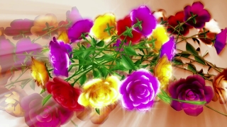 Free Hd Video Stock Footage, Bouquet, Arrangement, Flower Arrangement, Tulip, Flower