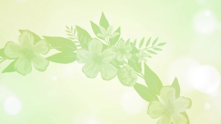 Free Stock Videos With Sound, Floral, Clover, Flower, Leaf, Spring