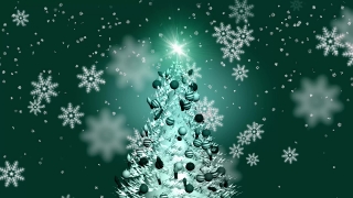 Free Video Clips Website, Fir, Snow, Winter, Snowflake, Decoration