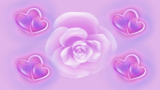 Free Video Content For Your Website, Lilac, Pink, Flower, Art, Rose