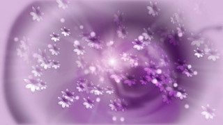 Free Video Hd Background, Lilac, Light, Star, Design, Wallpaper